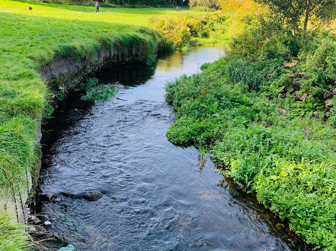 Ward River Valley Park-Swords必去景点