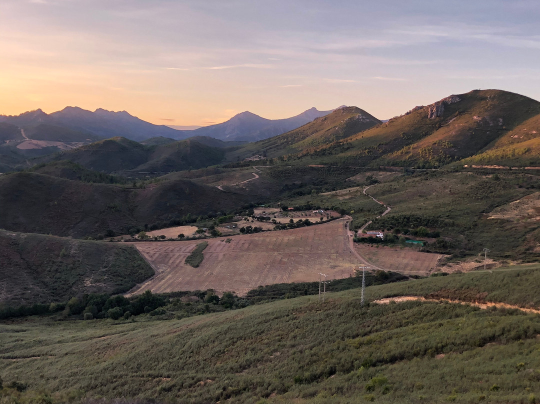 Bodegas Ruiz Torres景点图片