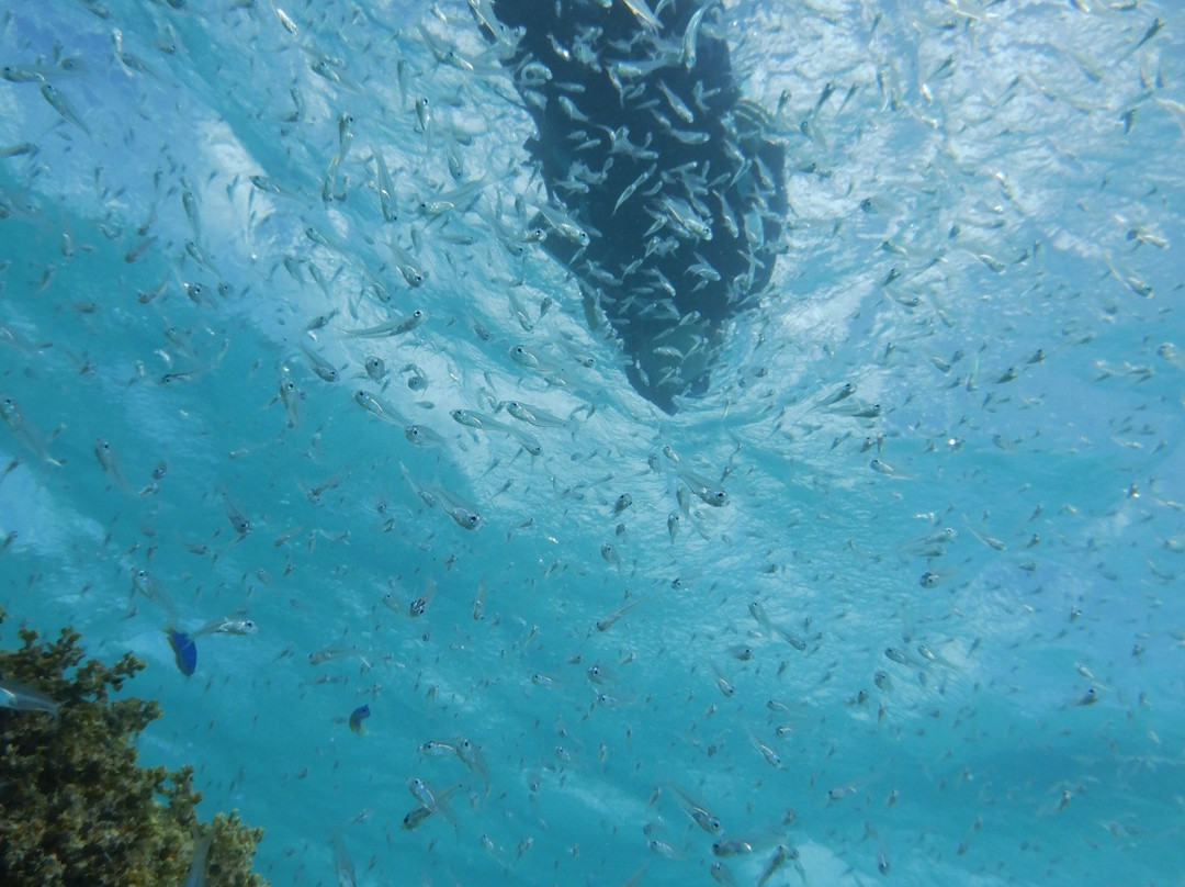 Jaburo-Ishigaki-jima必去景点