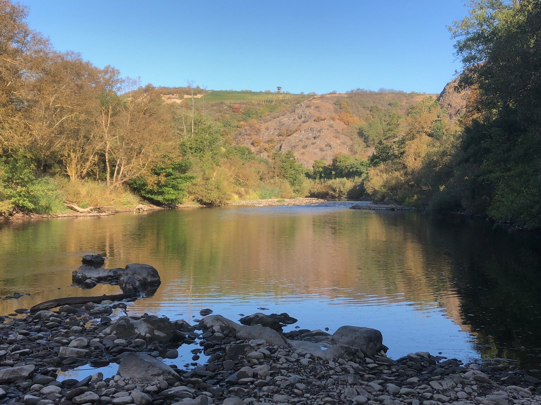 Landhotel Niederthaeler Hof主图