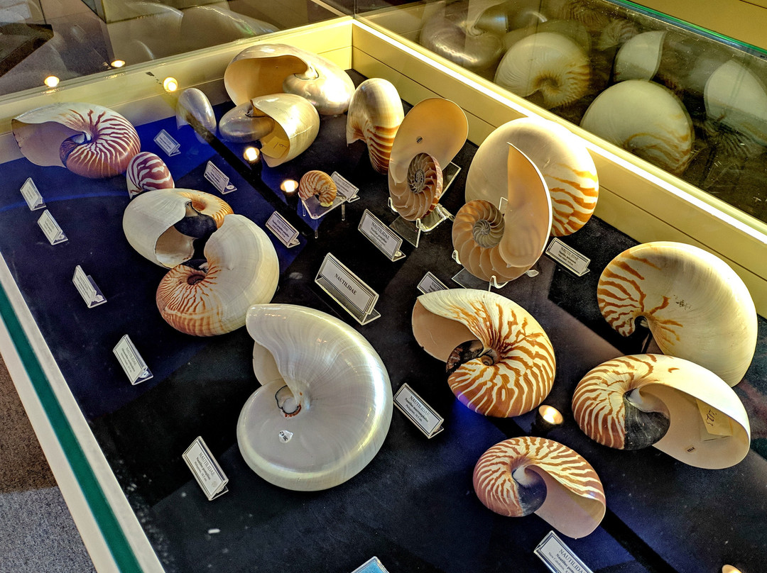 Bodrum Maritime Museum景点图片