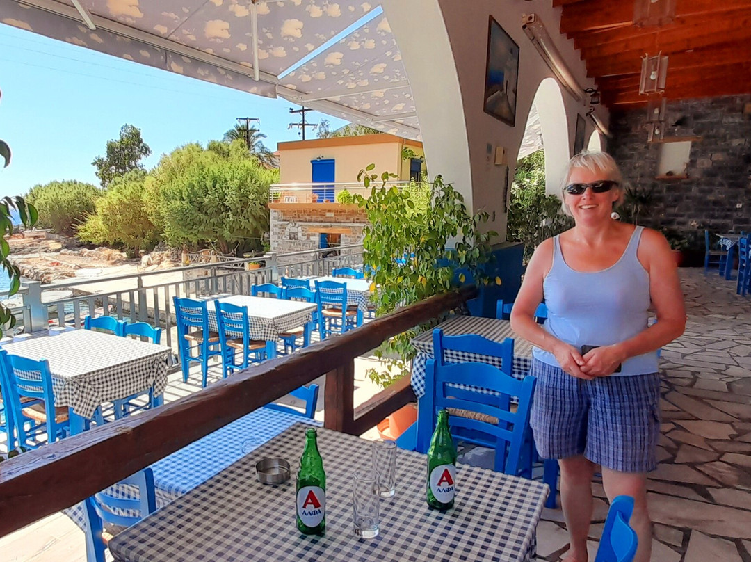 The Old Phoenix主图