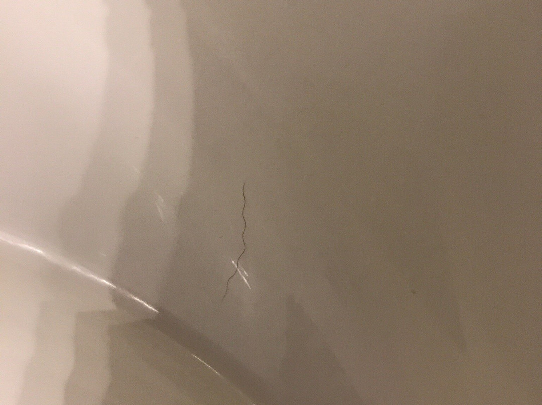 Travelodge By Wyndham Rigaud主图