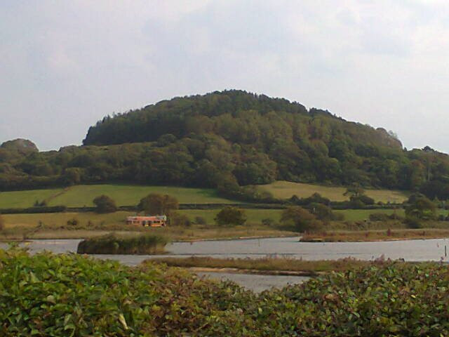 Seaton Wetlands Nature Reserve-Seaton必去景点