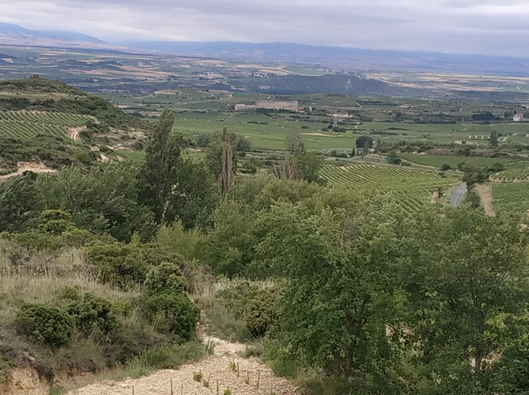 Casa Rural Osante主图