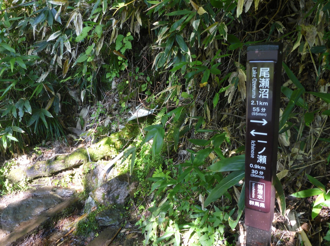Ozenuma Lake景点图片