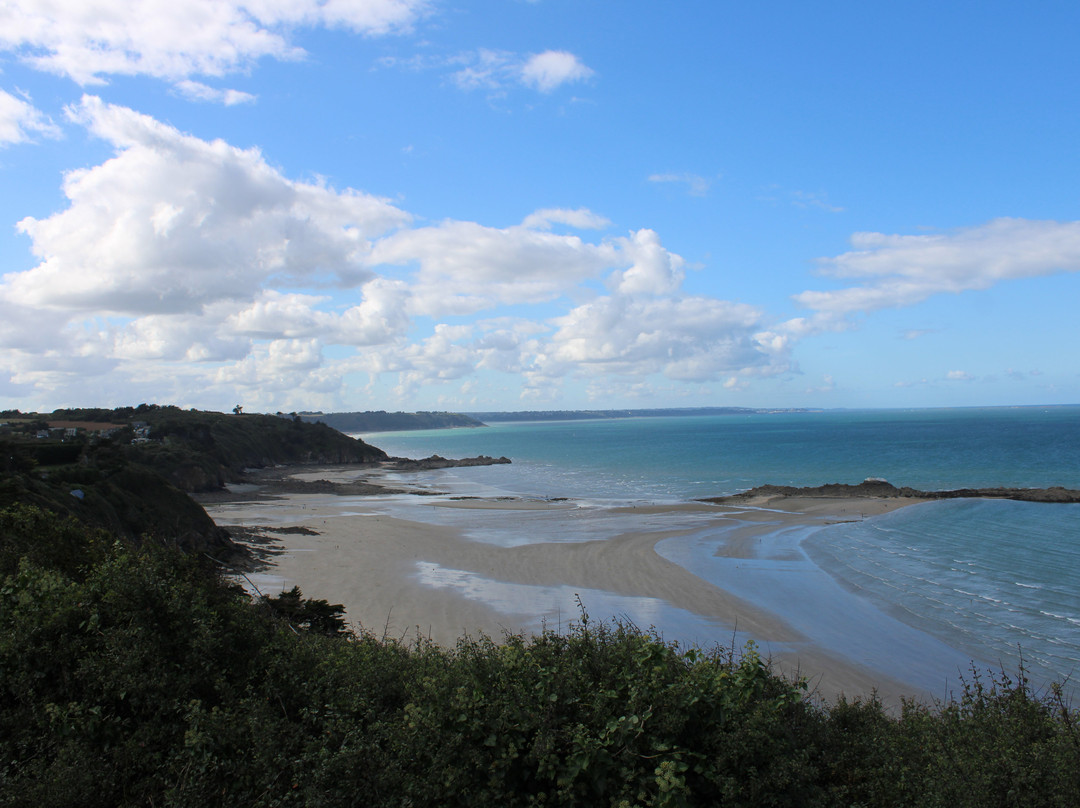Pointe du Roselier景点图片