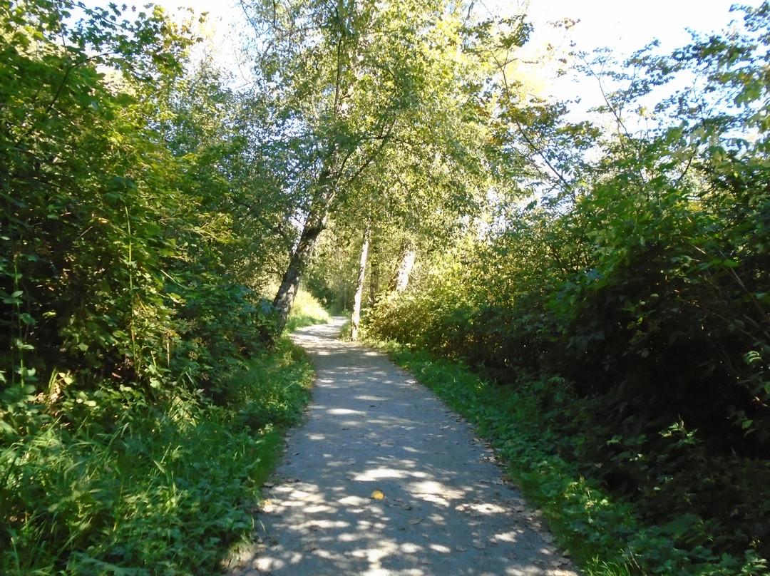 Burnaby Lake Regional Nature Park-本那比必去景点