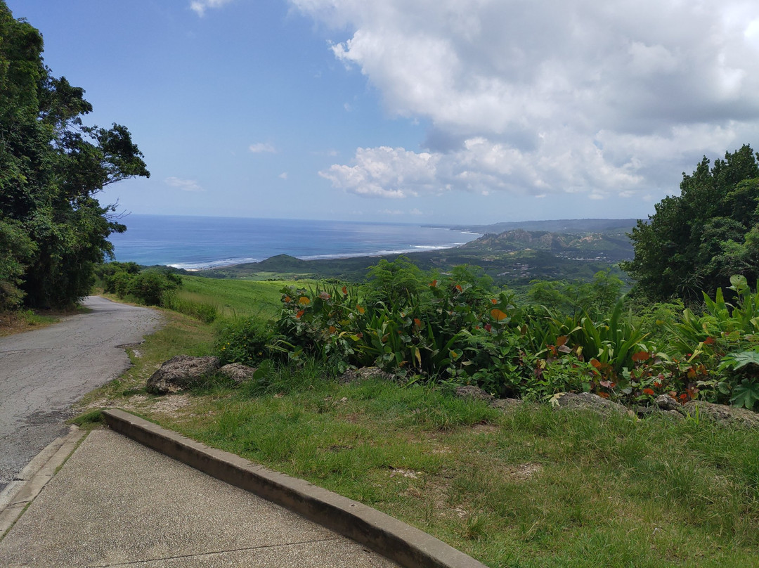 Williams Tours Barbados-布里奇顿必去景点