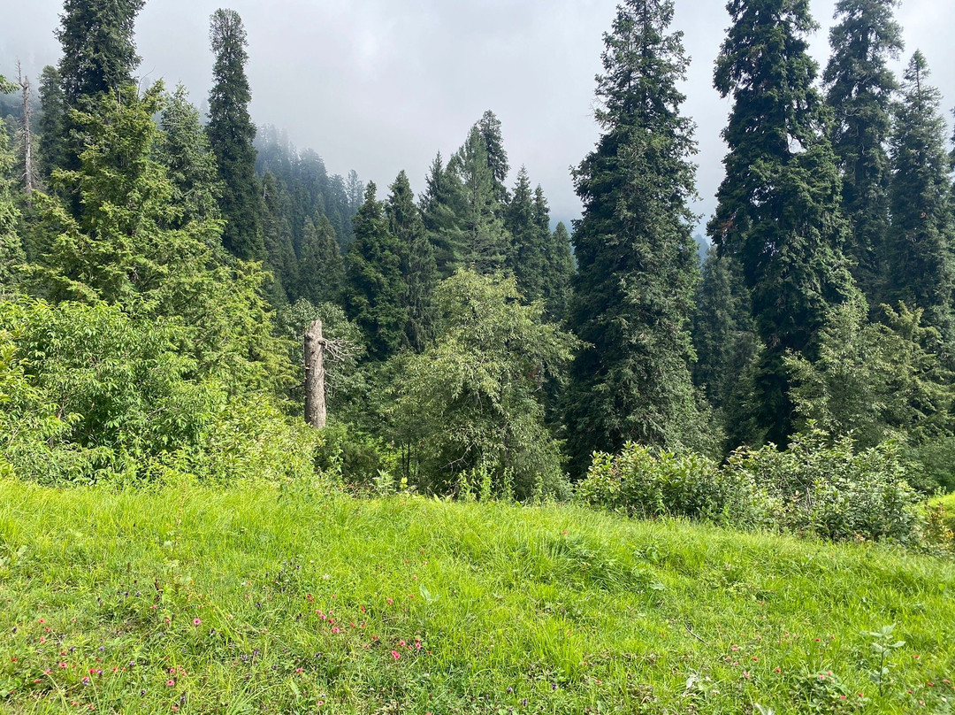 Mukshpuri Peak-Nathia Gali必去景点