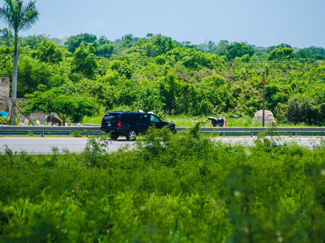 Luxury Airport Transfers RD-巴瓦罗必去景点