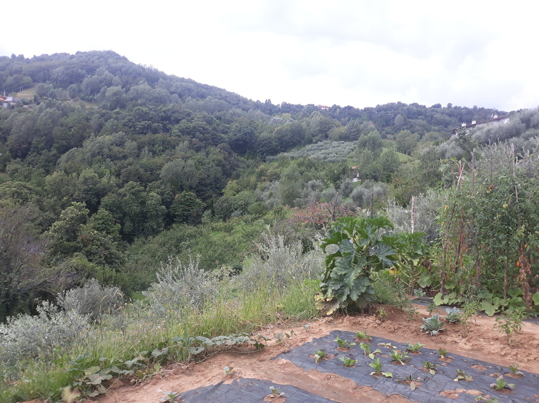 Agriturismo Antico Borgo主图