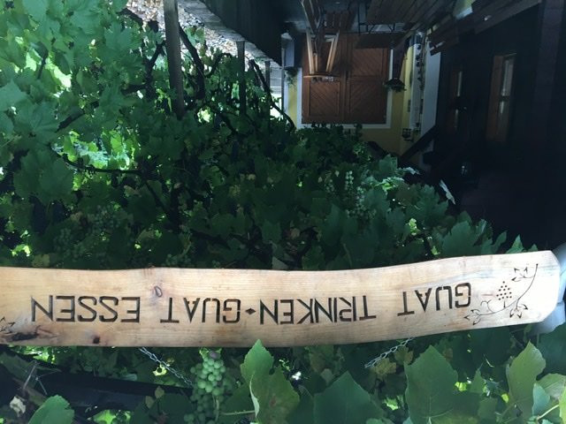 Weingut & Buschenschank Pölzl主图