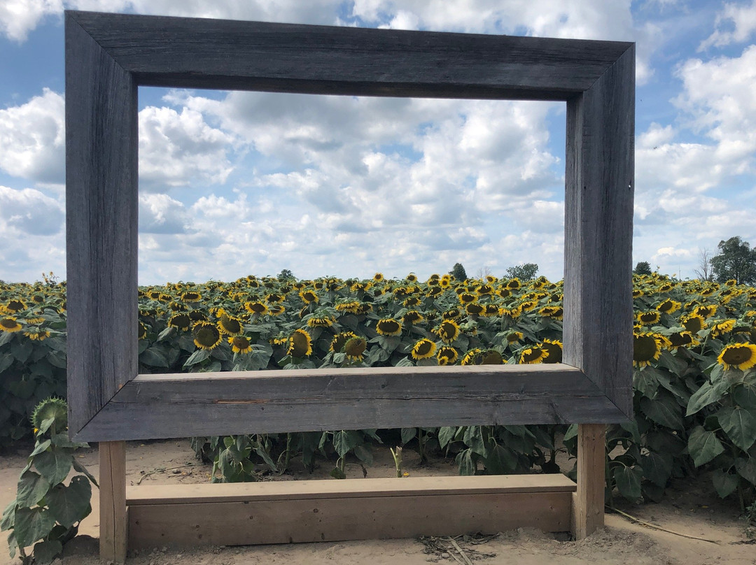 Dixie Orchards-卡利登必去景点