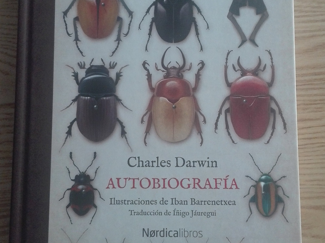 Libreria La Puerta de Tannhauser-Plasencia必去景点