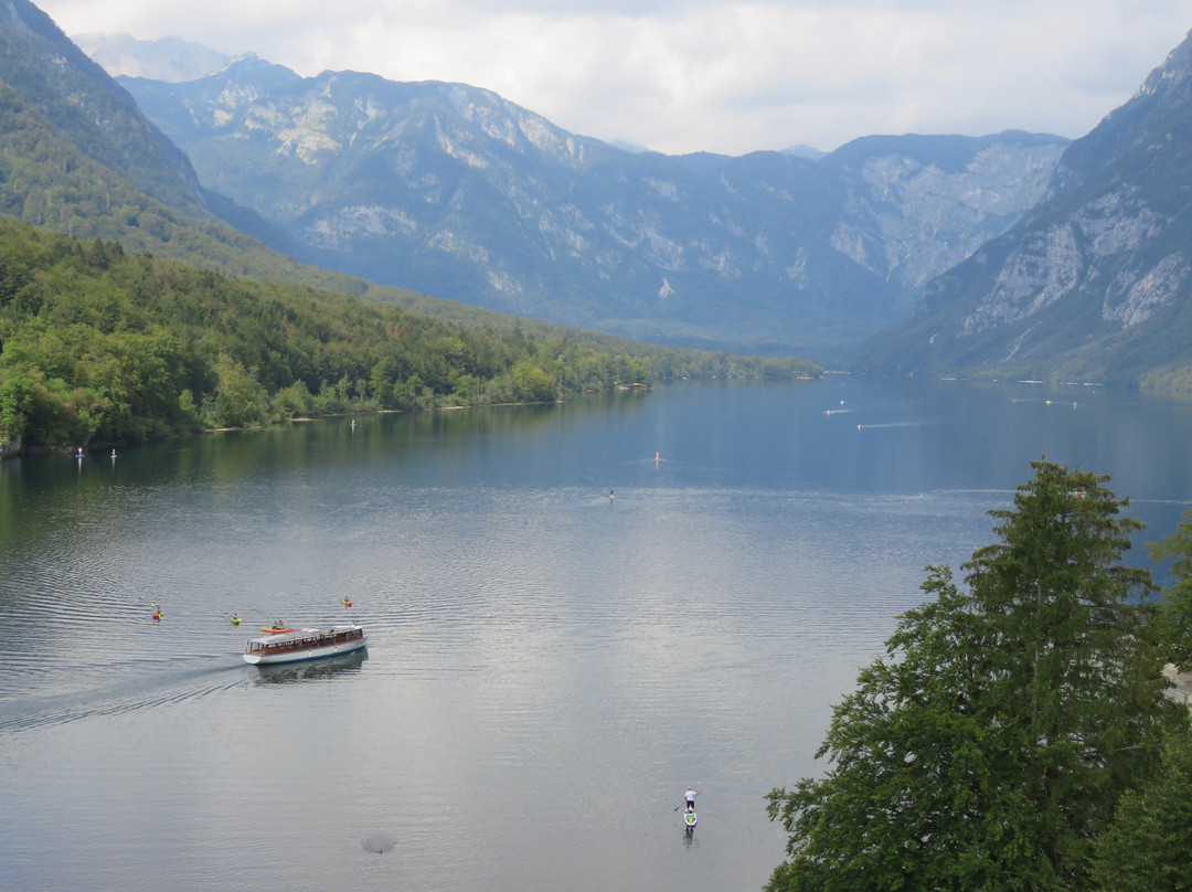 Boat Bohinj景点图片