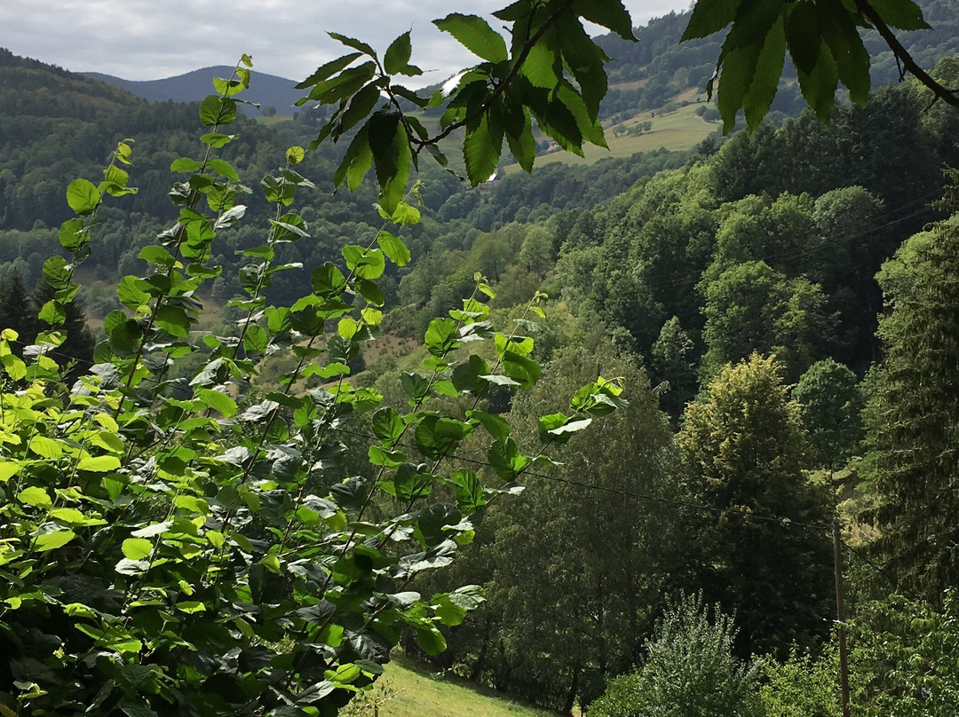 高仓库酒店主图