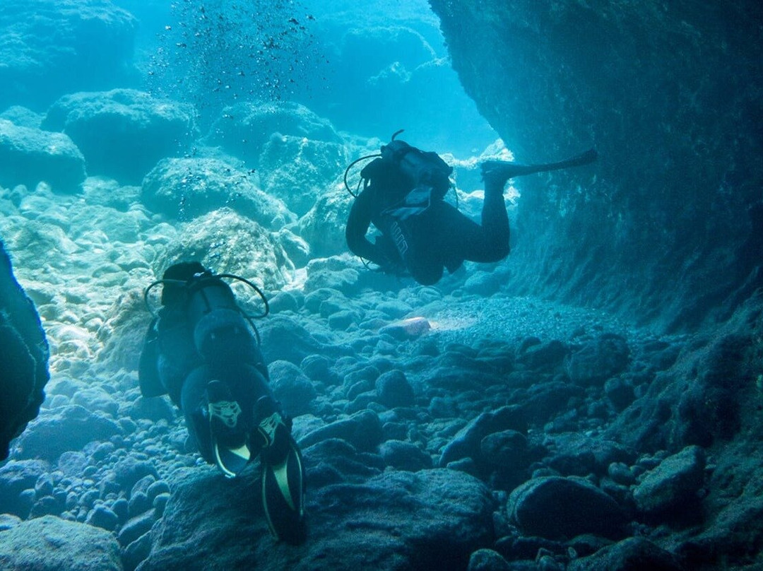 Stegna Dive Base by Lepia D.C