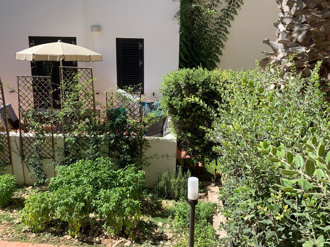 Residence Scirocco e Tramontana主图