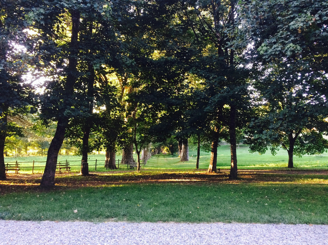 Parco Oldcalabria景点图片