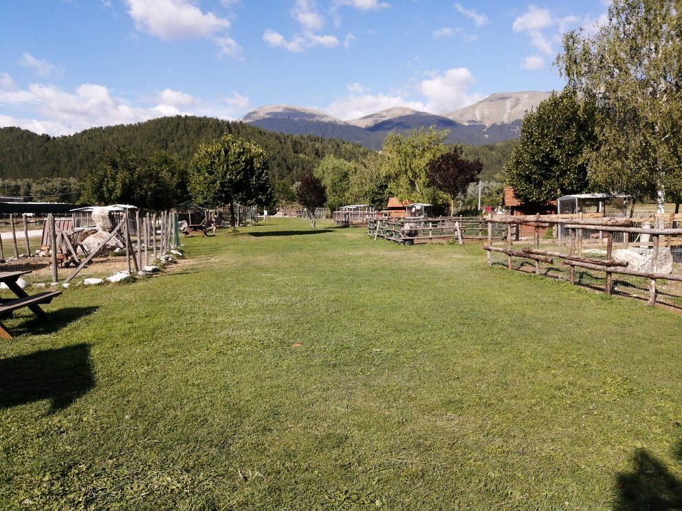 La Fattoria degli Animali景点图片