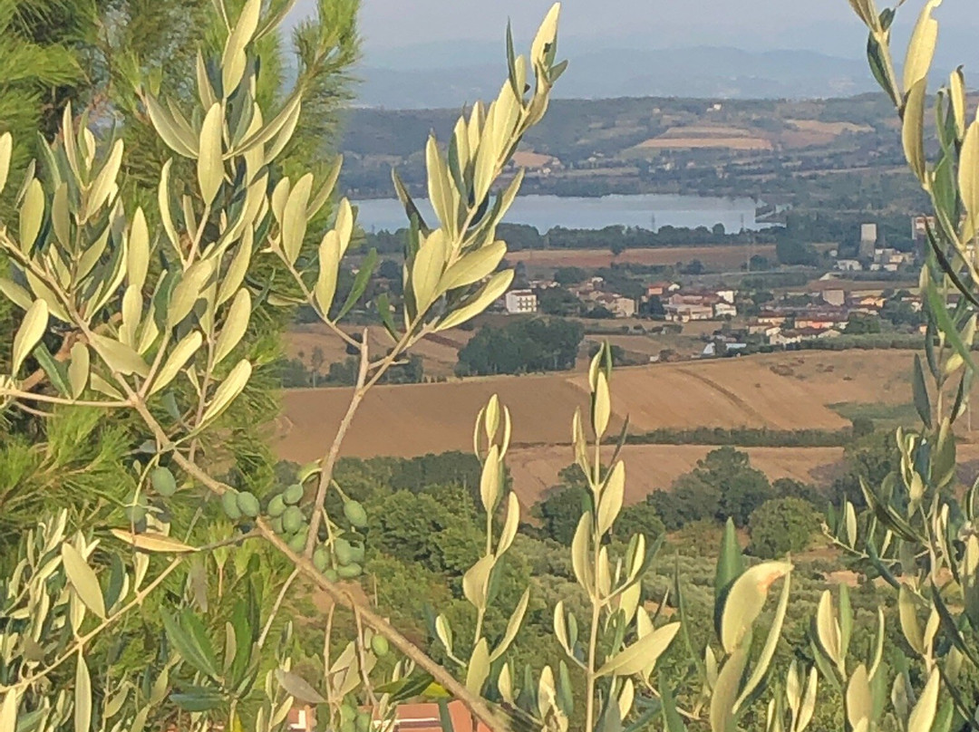 Locazione Turistica ex le Casette di Cedromonte