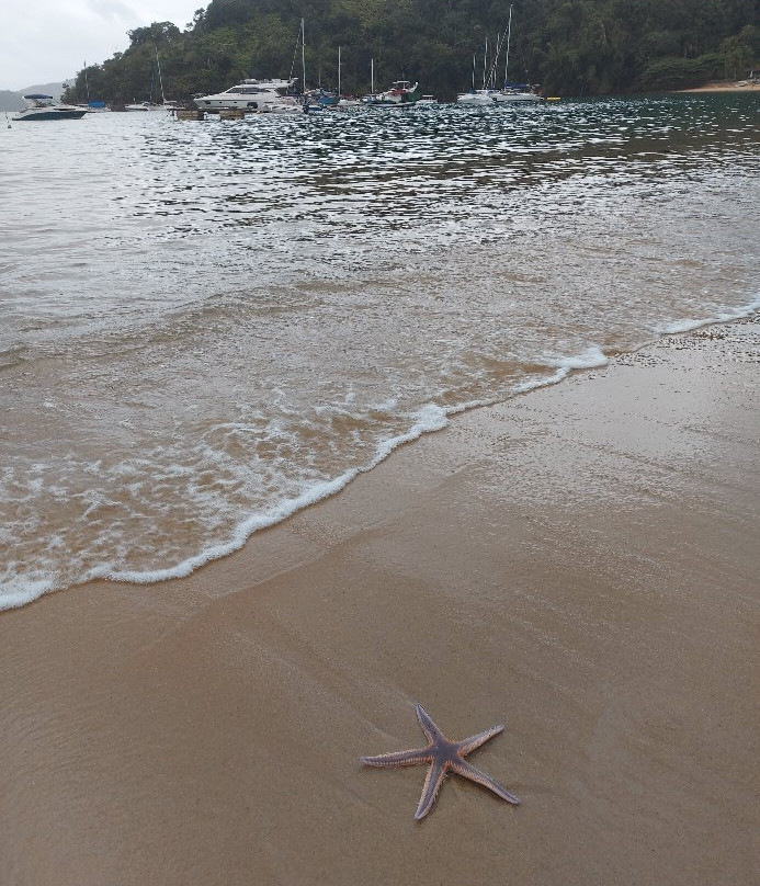 Flamengo e do Flamenguinho Beach-乌巴图巴必去景点