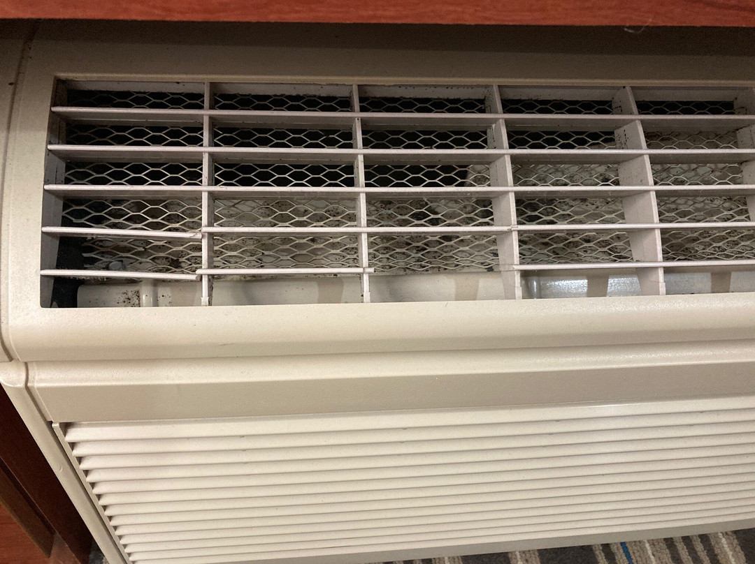 Microtel Inn & Suites By Wyndham Manistee主图