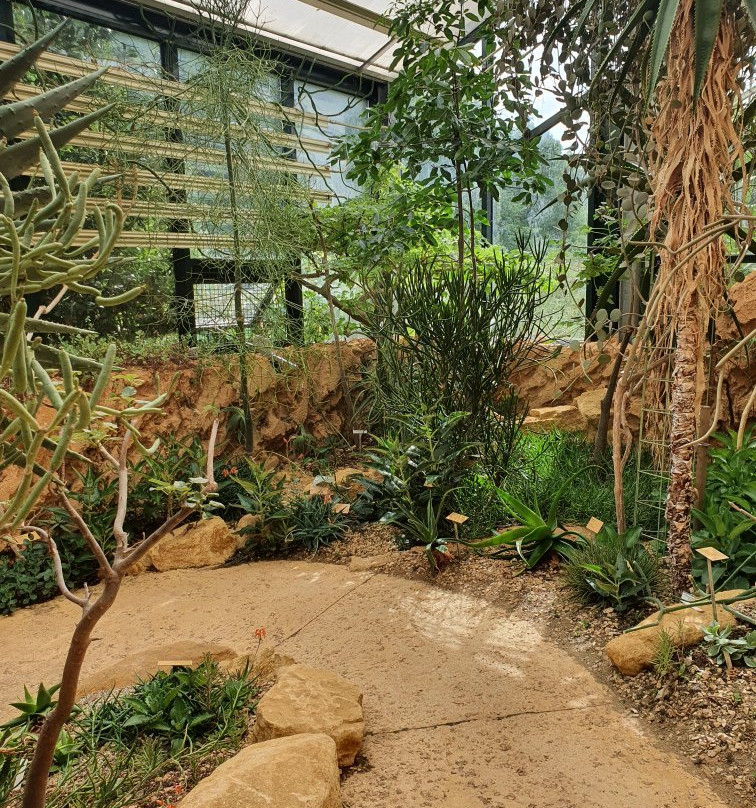 Jardin Botanique de Neuchatel景点图片