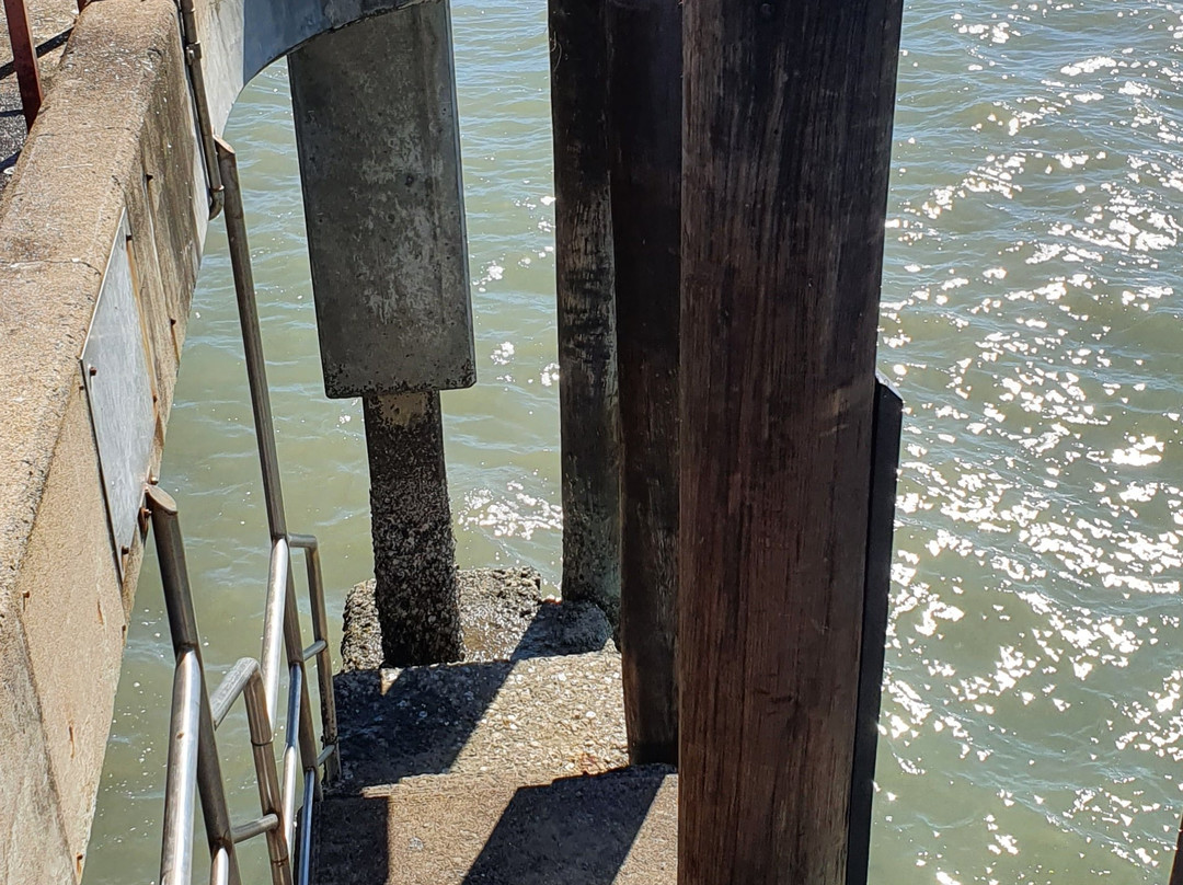 Cardwell Jetty-卡德威尔必去景点