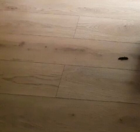 Rosh Hanikra Holiday Village主图