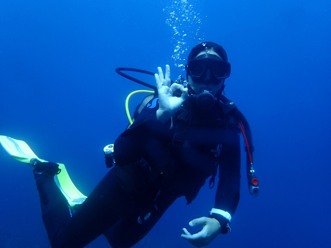 Abyss Diving & Water Sports Center景点图片