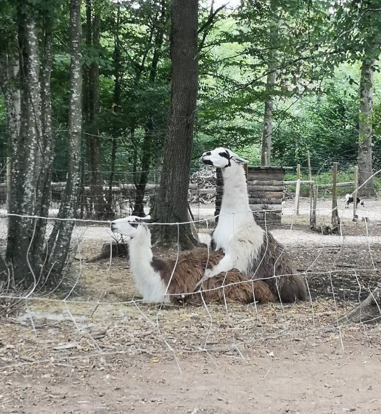 Ferme景点图片