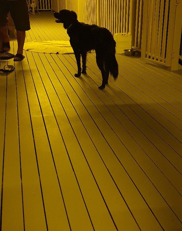 Country Rose Motel Warwick主图