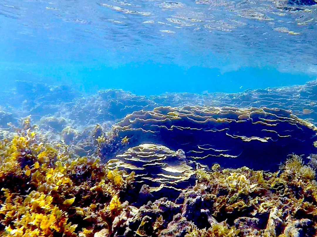 Arthur Bay-Magnetic Island必去景点
