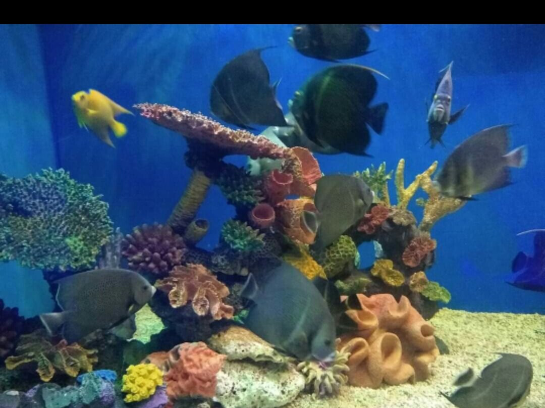 Zanzibar Watersports-桑给巴尔市必去景点