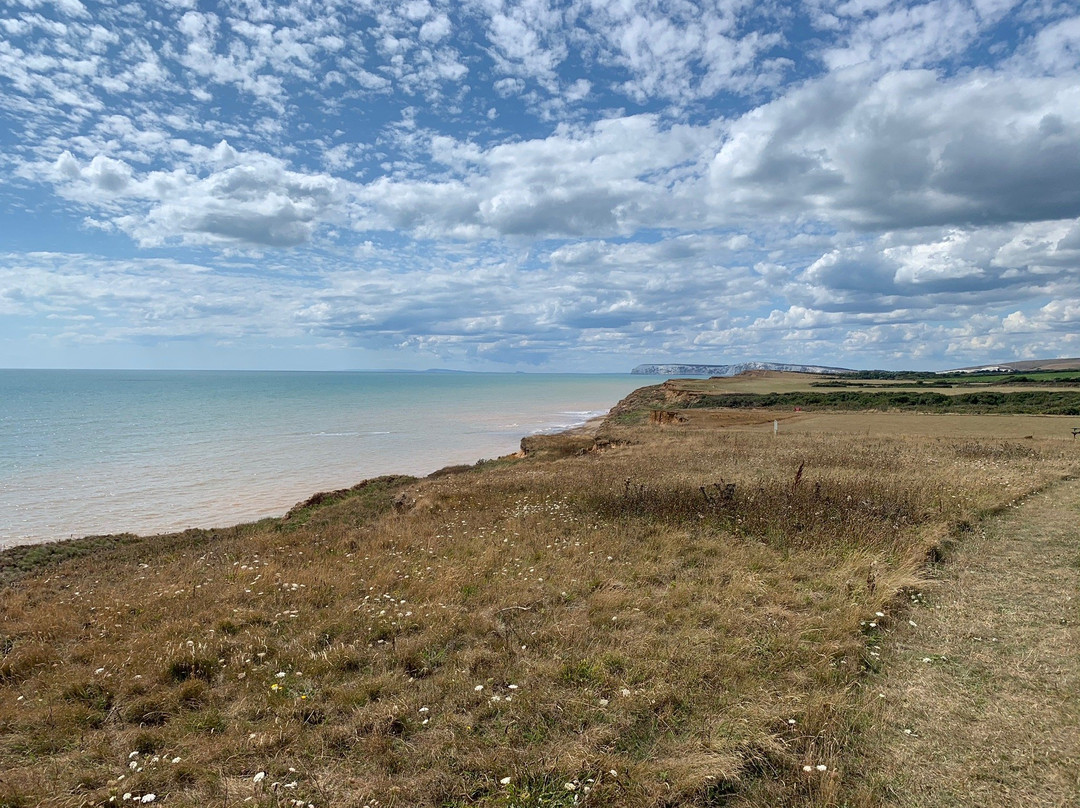 Isle of Wight Pearl景点图片