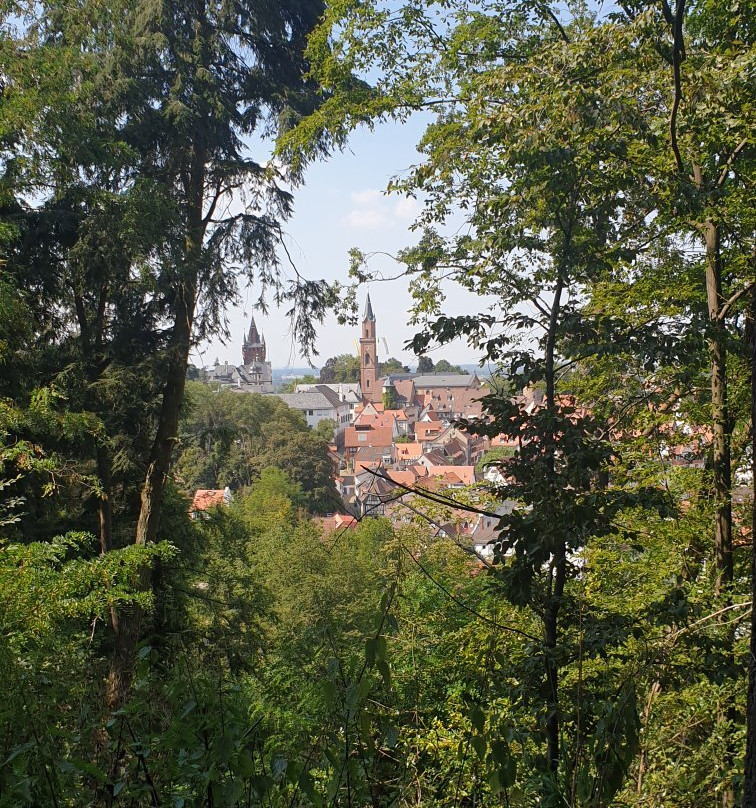 Exotenwald Weinheim-魏因海姆必去景点