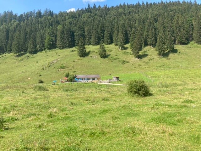 Naturschutzgebiet Weitsee-Reit im Winkl必去景点