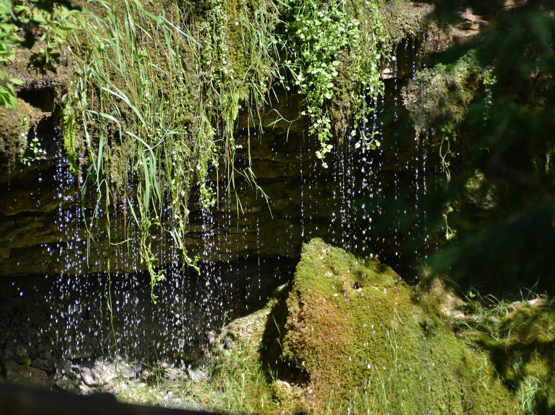 Silver Creek Conservation Area-Georgetown必去景点