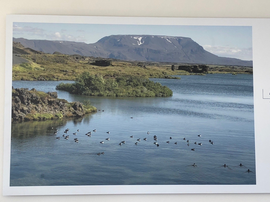 Myvatn Visitor Center-雷克雅里德必去景点