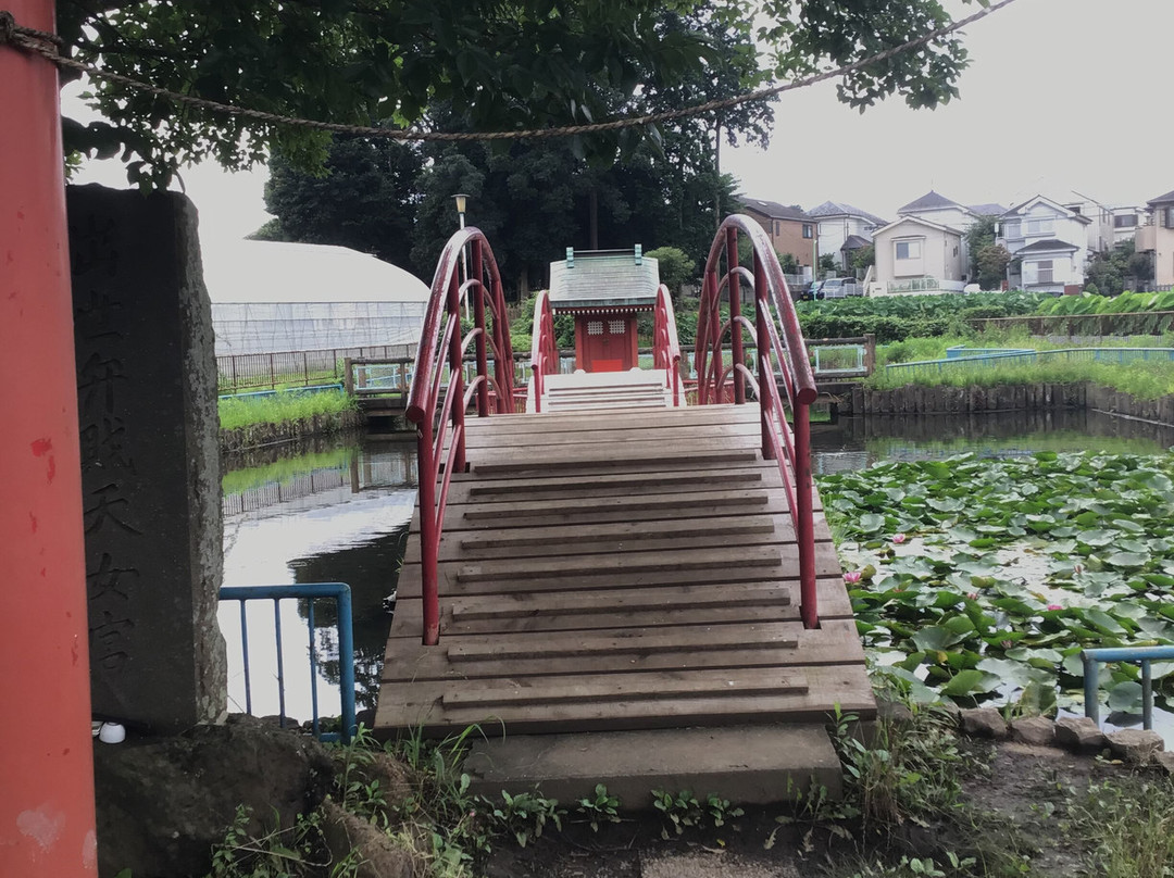 Benten Ike Park-东村山市必去景点