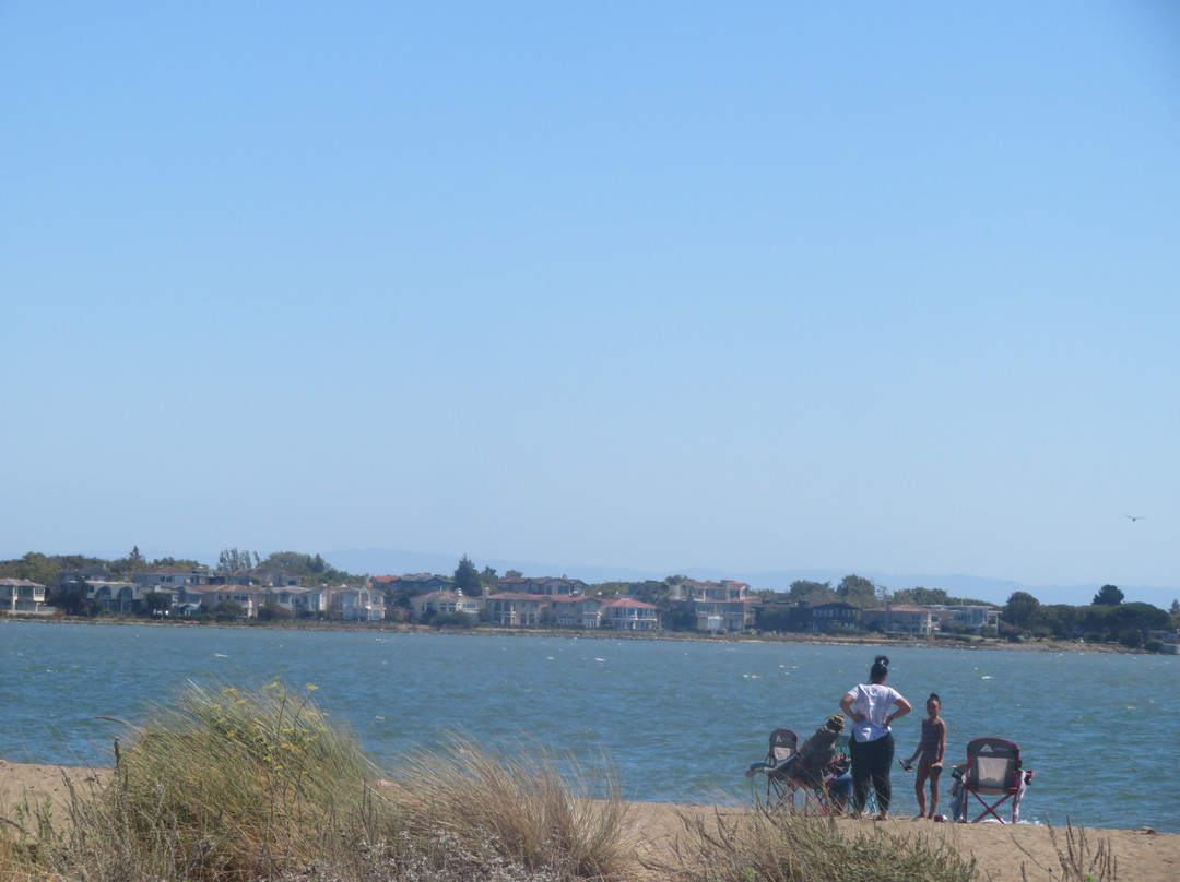 Shoreline Park景点图片