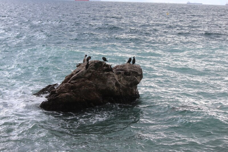 Riserva Naturale Marina di Miramare-Grignano必去景点