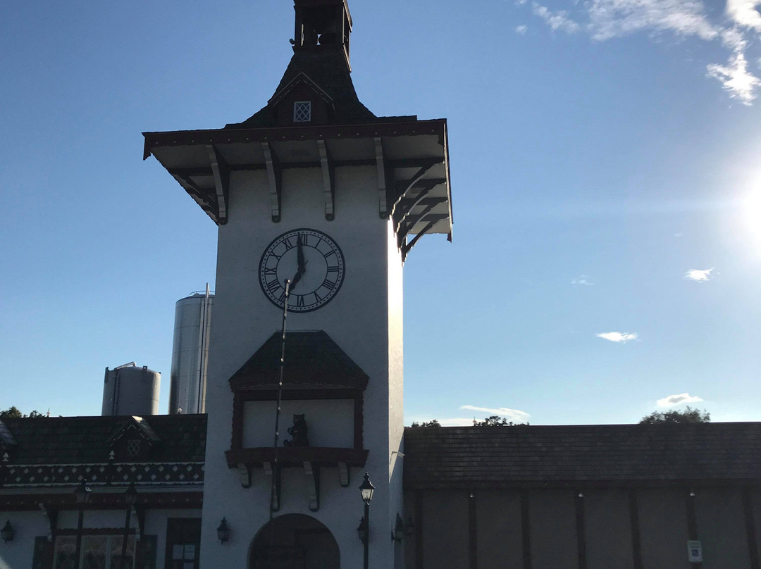 Guggisberg Cheese Factory-Millersburg必去景点