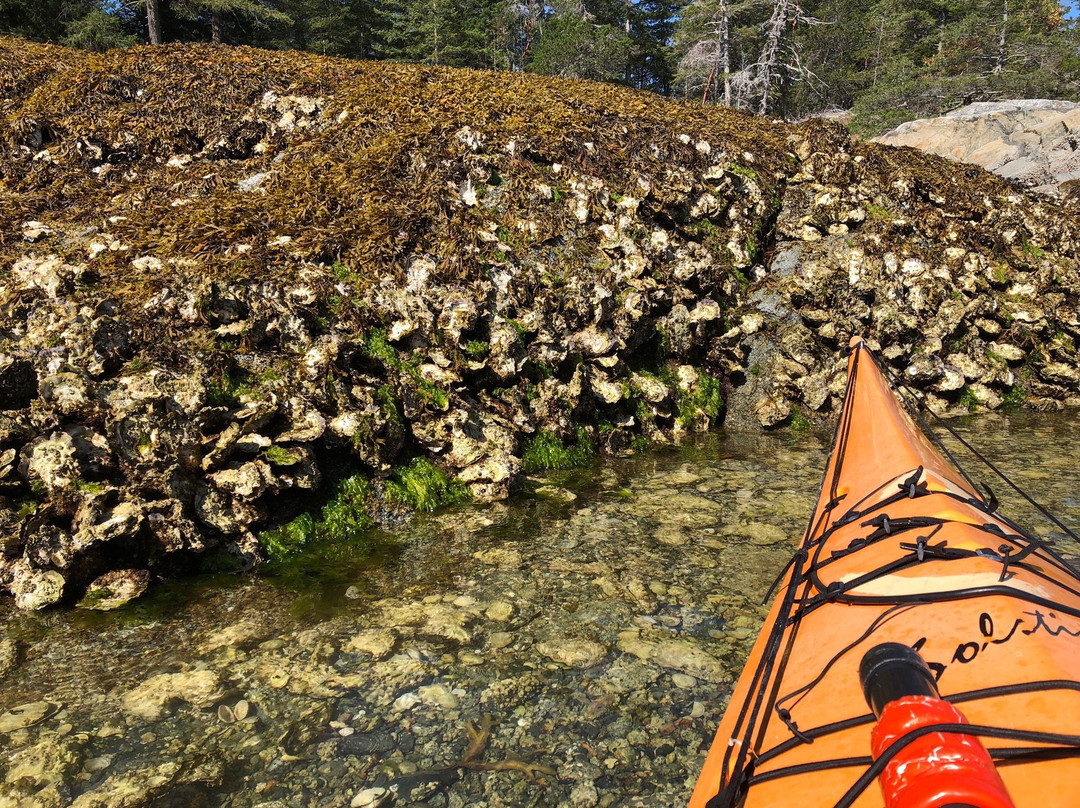 Copeland Islands Marine Provincial Park-鲍威尔里弗必去景点