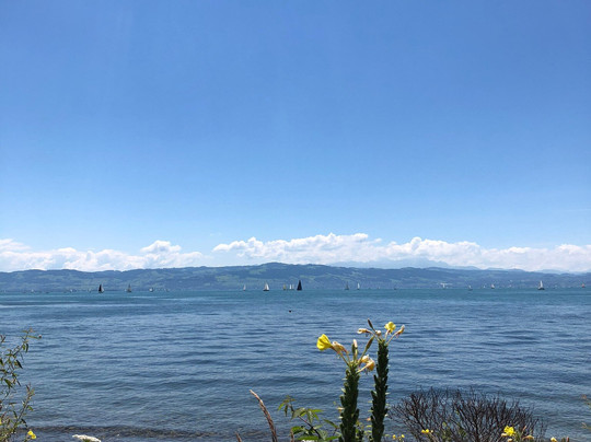 Hotel Seeterrasse主图