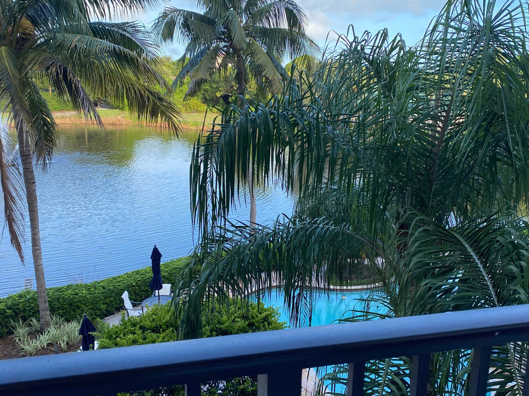 鹈鹕湾酒店主图