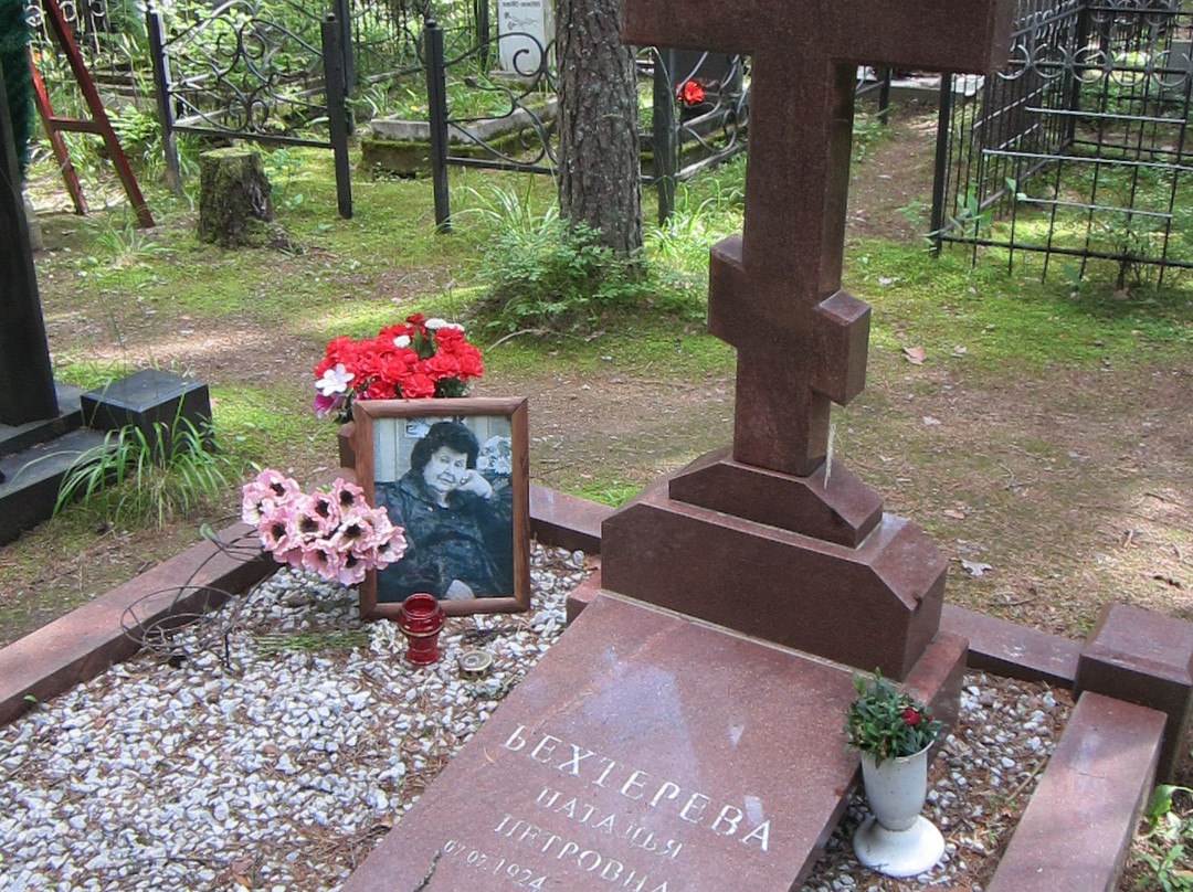 Komarovo Cemetery景点图片