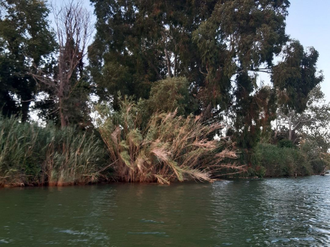 Canoe nel Parco della Maremma景点图片